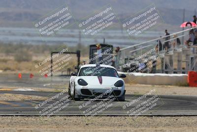media/Mar-30-2025-Pro Autosports (Sun) [[34ff8f16e0]]/2-Blue-White Group/Main Race/